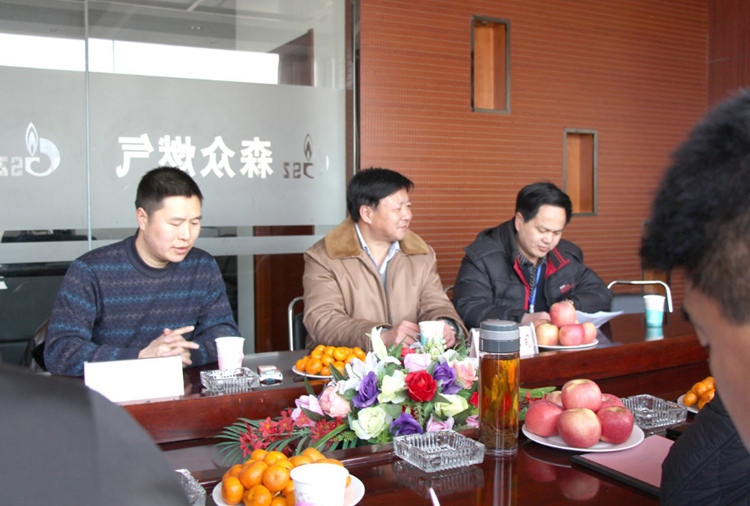 林口县政府与大发·体育-大发(中国)燃气项目洽谈.png